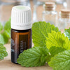Mayie - Lemon Balm (Melissa) Essential Oil, 100% natural and pure